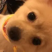 ヤスタカ