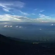 えーさく