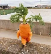 。⁠◕⁠‿⁠◕⁠。プロフィール読んでの画像