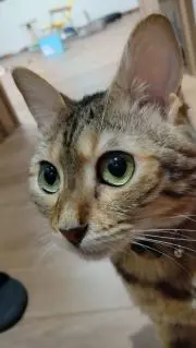 ちゃちゃの画像