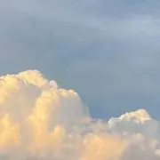 ゆうたの画像