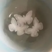あの画像