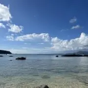 nの画像