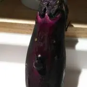 3mama