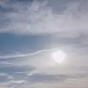 麗華の画像