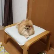 つつも