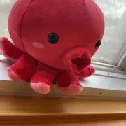 スツの画像