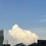 たけですの画像