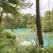 Naoの画像