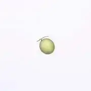 melonの画像