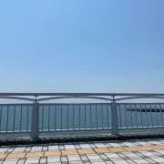 さんちゃんの画像