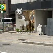 とまおの画像