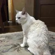 ユッキの画像