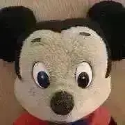 ビポスの画像