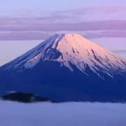 Sayuyon　次発送6/19金曜日午前の画像