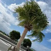Hana✴︎の画像