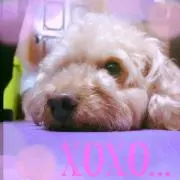 ♡モニカ♡