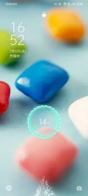 パラワンH
