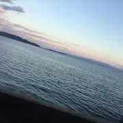 ゆーと。