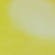 ぴーちゃんの画像