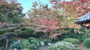 Gidoraの画像