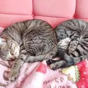 断捨離したい