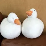 むむこの画像