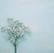 Hui ♡ 週末セール✨コメント欄にての画像