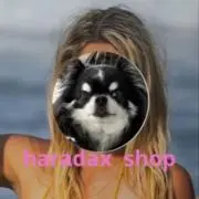 haradaxの画像