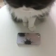さらんの画像
