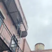 Muuuuuuの画像