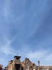 いの画像
