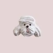 piの画像