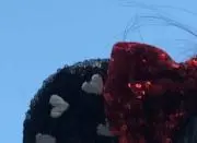 ゆんの画像