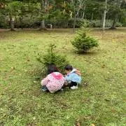 まめの画像