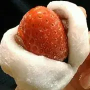 コロの画像