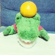 わに