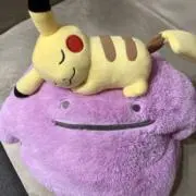 さくら五目の画像