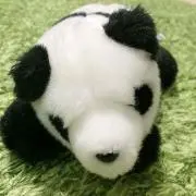 パンダの画像
