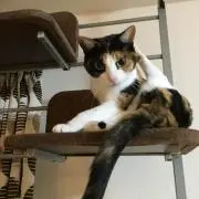 まりも