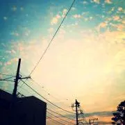 じゃむの画像