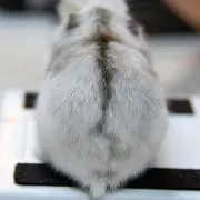 Kenチャン