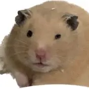 うた