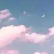 にこの画像
