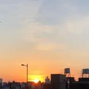 Mistの画像