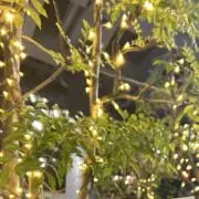 てふろん 無言取引希望の画像