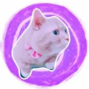 りぼんねこの画像