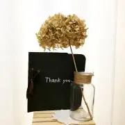 mitaの画像