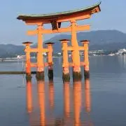 バナナの妖精の画像