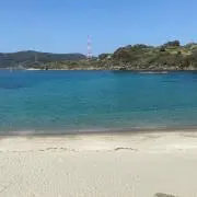 うぃー